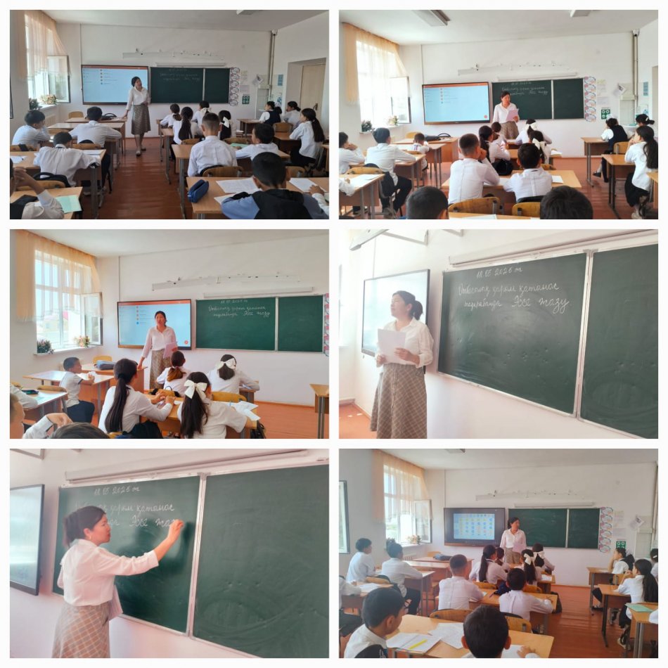 Сыни ойлау, өзіндік пікір айту, өмірлік мысалдар келтіру